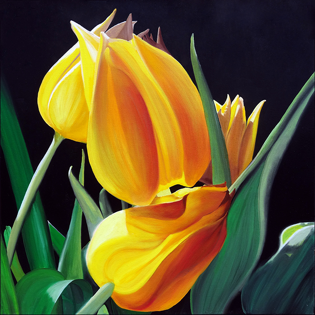 "Yellow Tulips" an original oil painting by Matthew Holden Bates